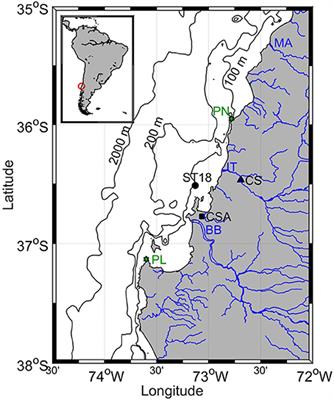 Temporal Variability in Net Primary Production in an Upwelling Area off Central Chile (36°S)